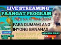 LIVE|PAANGAT PROGRAM|SMALL YOUTUBER PASOK PO|WE GROW AS ONE