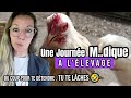 La poule pekin une poule  caractre mais attachiante 