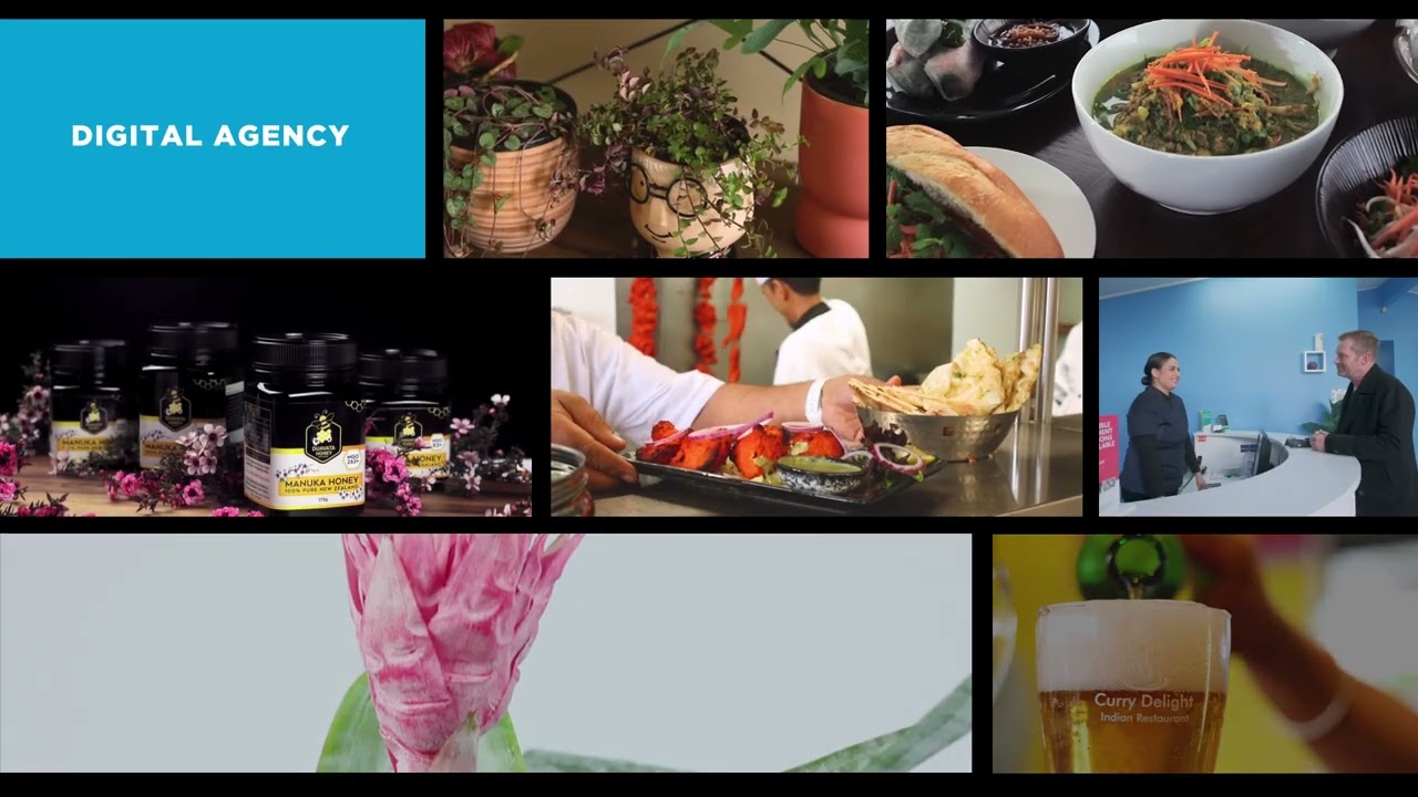 Cloud Media NZ - A Digital Marketing Agency Hamilton, New Zealand