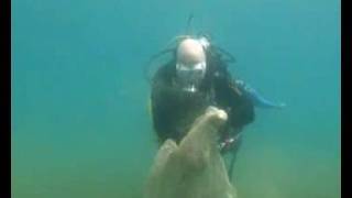 Lucky Dive Center Dutch PADI AWARE international cleanupday 2007