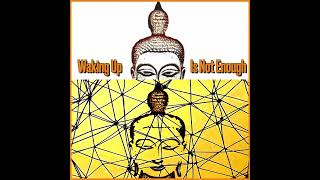 Waking Up Is Not Enough Episode 17 - What is the Nature of Post-C...