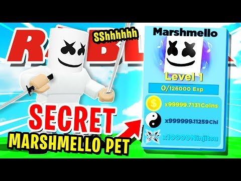 Marshmallow Vs Max Rank Player Winner Gets Secret Marshmallow Pet Roblox Ninja Legends Youtube - using a secret hacked pet in ninja legends roblox youtube