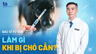 Bệnh dại là gì? Nguyên nhân, triệu chứng và cách xử trí khi bị chó cắn | BS.CKI Trương Trọng Tuấn