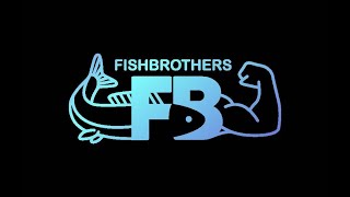 Итоги 2023 года, новости и планы на 2024 год. Fishbrothers