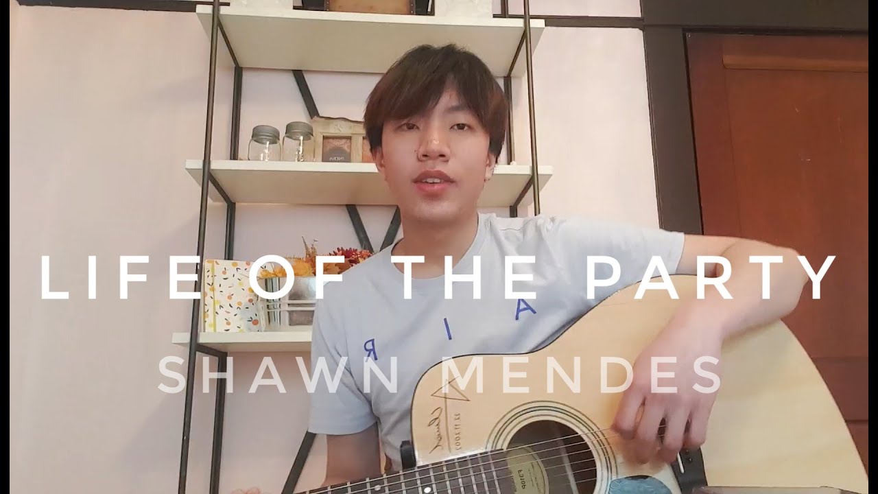 Life Of The Party- Shawn Mendes (live cover by Andre tkt)
