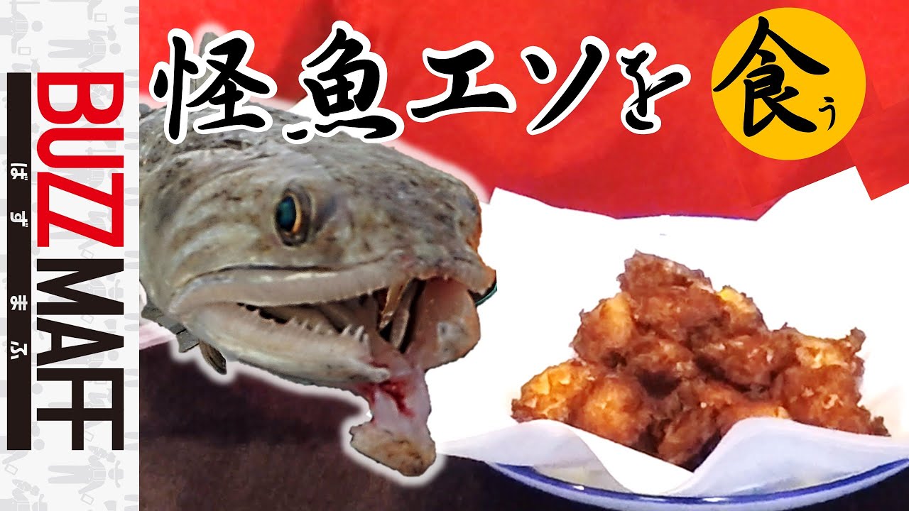 アウトドア 1 釣った魚は全部食べる 怪魚 エソ De薩摩揚げ 突撃jasちゃんねる Youtube アウトドア 1 釣った魚は全部食べる 怪魚 エソ De薩摩揚げ 突撃jasちゃんねる Youtube