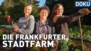 Successful with permaculture? - The Frankfurt City Farm | documentary | experience