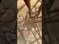 Welding armature for a twin lion sculpture. #welding #armature #lionsculpture #creativeprocess