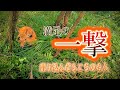 いい感じ