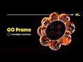 Розыгрыш Go Promo