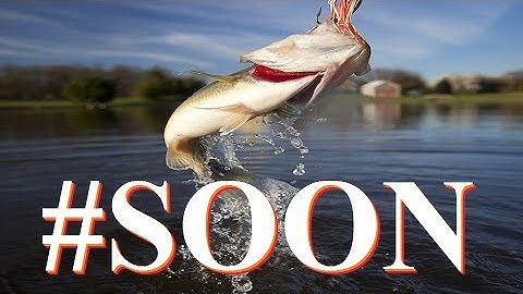 Tier 8 / Raid 5 What Theme? Fishing too! Super Update is Coming Soon! - Bit Heroes