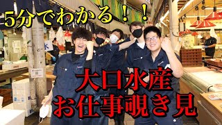 【会社説明】大口水産のお仕事紹介