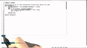 Fuzz Inputs - Software Debugging