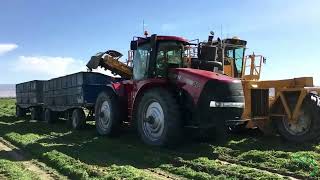 Happy Ag Day 2024!