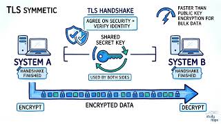 Symmetric Encryption Protects Data After TLS Handshake | CompTIA Security+ SY0-701