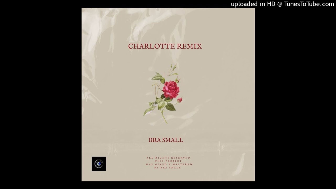 BRA SMALL - Charlotte Remix