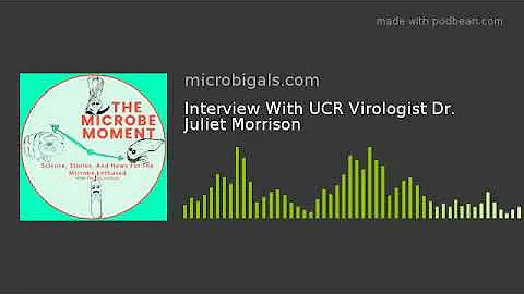 Interview With UCR Virologist Dr. Juliet Morrison