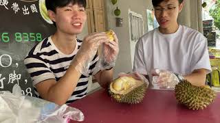 【「榴槤」忘返】新加坡街頭吃榴槤大挑戰！種類眾多的榴槤味道是否真的不一樣？| 港人在新加坡 | Durian Challenge in Singapore
