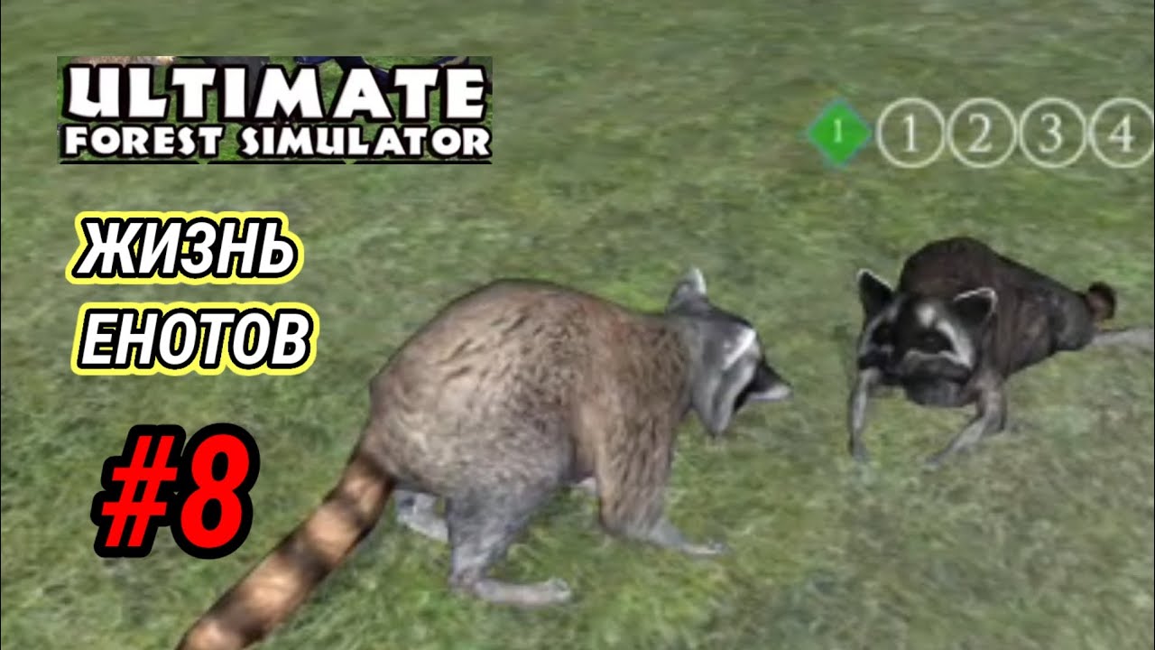 Ultimate Forest Simulator Жизнь енотов Эпизод 8 - YouTube