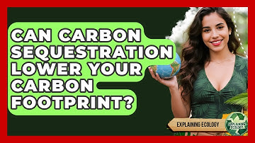 Can Carbon Sequestration Lower Your Carbon Footprint? - Explaining Ecology