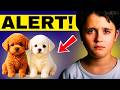 Wuffy Robot Puppy Review: Is It WORTH THE MONEY? ⚠️ Honest Parent Test &amp; Best Discount (2026)