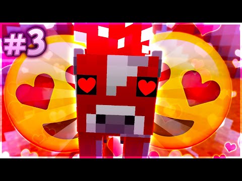 אורחים מיוחדים מצטרפים לסדרה! *פיצחתי את הסוד של המפה* - הישרדות עם בורדר!