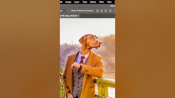 Swap Heads with ANYTHING in Photoshop! #Shorts