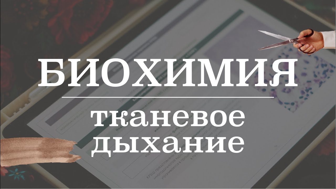 Тканевое дыхание и окислительное фосфорилирование, цепь переноса ...