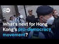 Hong Kong mass arrests: Could the West have done more to support the activists? | DW News