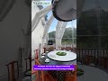 Is This Your Dream Dining Bubble House? ✨ #dome #dinning #restaurant #bubbletent