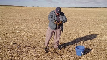 When Was the Last Time You Tested for SCN?