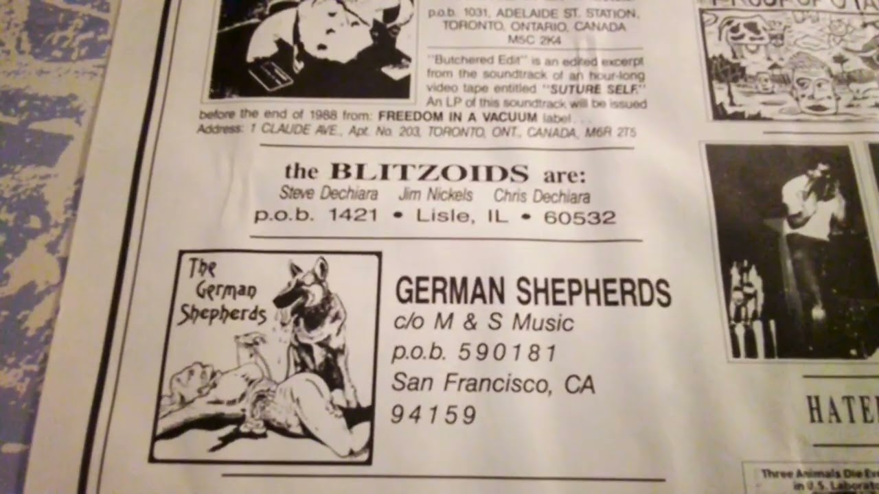 Blitzoids  Theme from a Summer Place  LP V.A. What is Truth? Vol.2  Panic Records (1988)