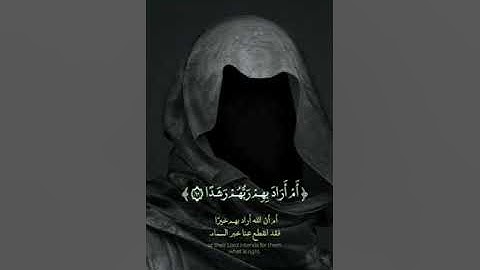 صوت من عالم اخر قران كريم راحة نفسية