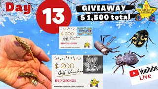 12 Supreme Days of Christmas   DAY 13 - live GIVEAWAY  Over $ 1,500 value     #12SDOC