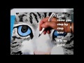How to paint a cat with acrylic paints