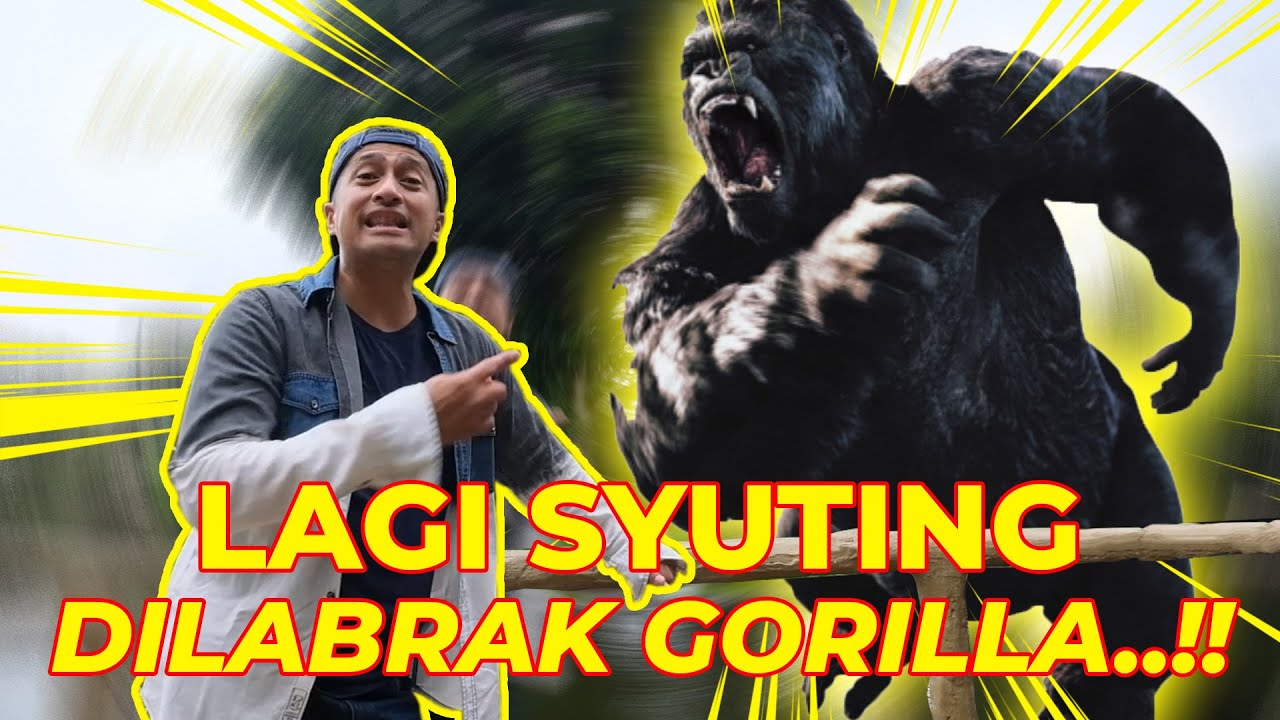 LAGI SYUTING DI RAGUNAN, TIBA-TIBA DILABRAK GORILLA..!