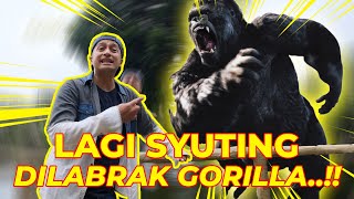 LAGI SYUTING DI RAGUNAN, TIBATIBA DILABRAK GORILLA..!