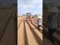 sophisticated machine makes super neat soil beds #shorts