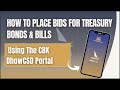 How to place bids for treasury bonds  bills using the  cbk dhowcsd portal  how to use  dhowcsd cbk