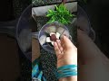 ഇഷ്ടമില്ലാത്ത Chocolates കളയണ്ട നമുക്ക് chocolate shake അടിച് കുടിക്കാം