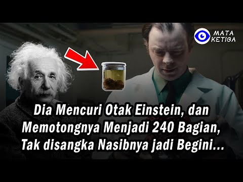 *KISAH NYATA* Dia Mencuri Otak Einstein dan Memotongnya Menjadi 240 Bagian, Sekarang Nasibnya Begini