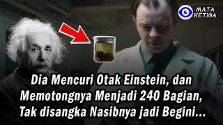 *KISAH NYATA* Dia Mencuri Otak Einstein dan Memotongnya Menjadi 240 Bagian, Sekarang Nasibnya Begini