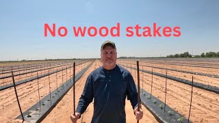 Why we use metal tomato stakes