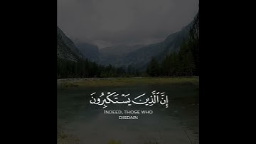 القارئ ناصر القطامي سورة (غافر)