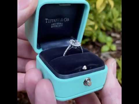 tiffany soleste oval halo engagement ring