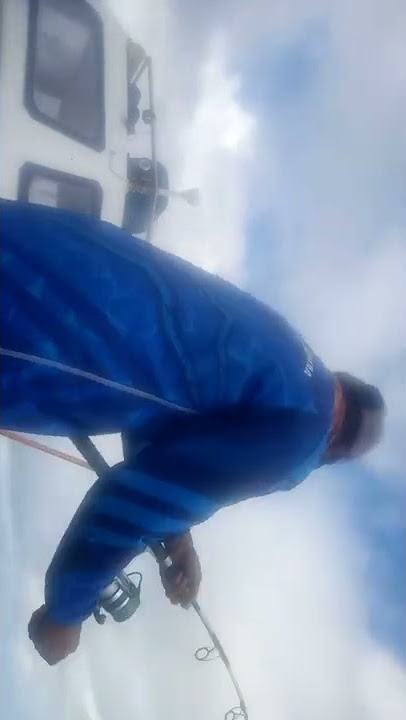 TARIK IKAN KAPAK BABON MERA
