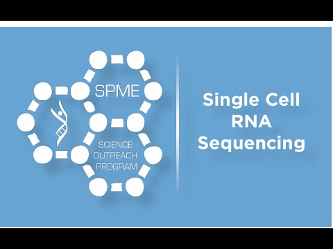 Video: Toekomstige Medische Toepassingen Van Single-cell Sequencing Bij Kanker