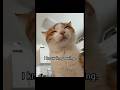 I no longer hate Mondays #cat #funny #memes #cute #funnycats #foryou #fyp #trending #viral