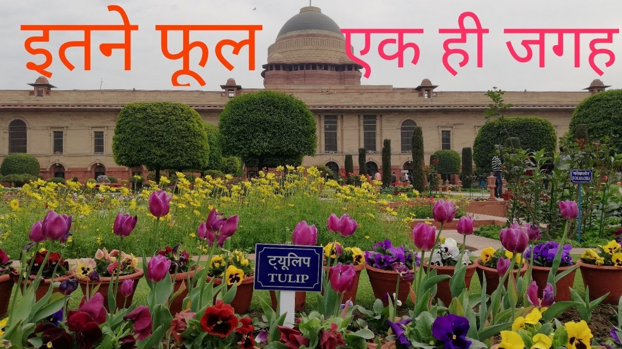 Mughal Gardens Open For Public Now Mughal Garden Opening Date
