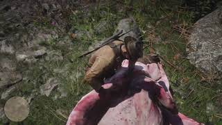 killing the Legendary bear in red dead redemption 2 story mode #shorts